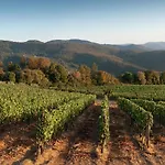 In Tuscany With Organic Wine Estate Villa *