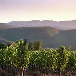 Villa In Tuscany With Organic Wine Estate Arezzo
