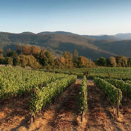 In Tuscany With Organic Wine Estate Вилла *