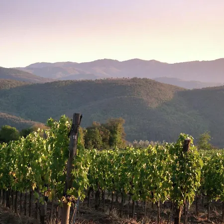 Вилла In Tuscany With Organic Wine Estate Ареццо