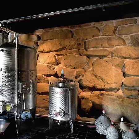 Вилла In Tuscany With Organic Wine Estate