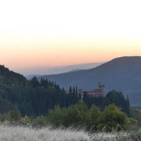 Villa In Tuscany With Organic Wine Estate Arezzo